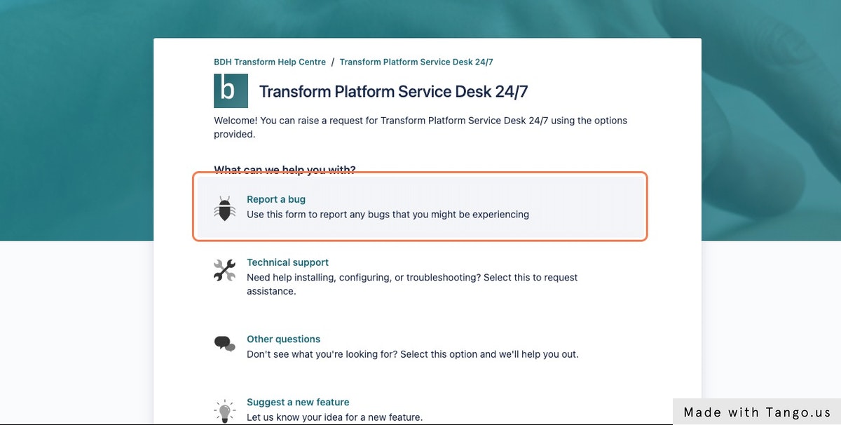 Click on Report a bug.